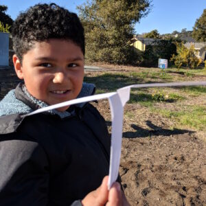Soaring Seed Model